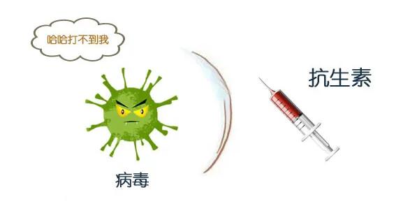 /ueditor/jsp/upload/image/20200310/1583820964644065740.jpg /ueditor/jsp/upload/image/20200310/1583820964644065740.jpg