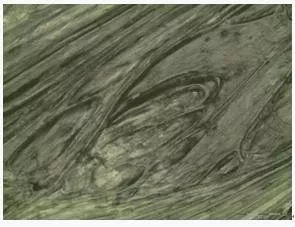 /ueditor/jsp/upload/image/20200109/1578530834128054489.jpg 14.webp.jpg