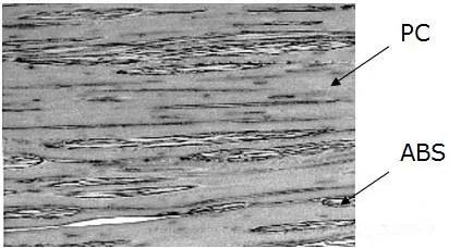 /ueditor/jsp/upload/image/20200109/1578530936667017597.jpg 15.webp.jpg